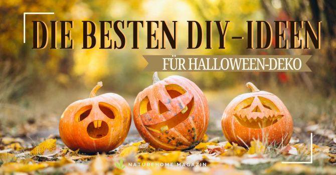 Die besten DIY-Ideen für Halloween-Deko - DIY-Ideen für Halloween-Deko 🎃 - Jetzt ausprobieren!