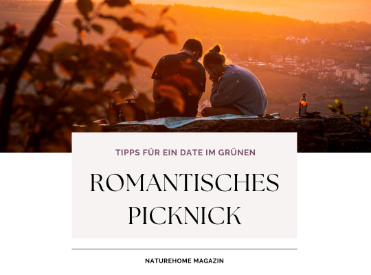 Romantisches Picknick: Tipps für ein Date im Grünen - Romantisches Picknick: Tipps für ein Date im Grünen