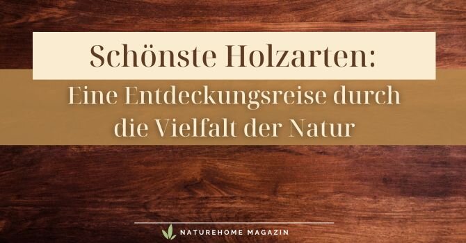 Schönste Holzarten: Eine Entdeckungsreise durch die Vielfalt der Natur - Die schönsten Holzarten – Jetzt mehr erfahren! 🛒