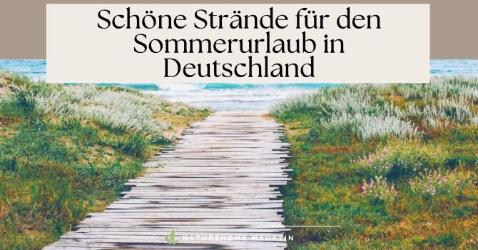 Schöne Strände für den Sommerurlaub in Deutschland - Die schönsten Strände in Deutschland – Finde Deinen Traumstrand! 🌊