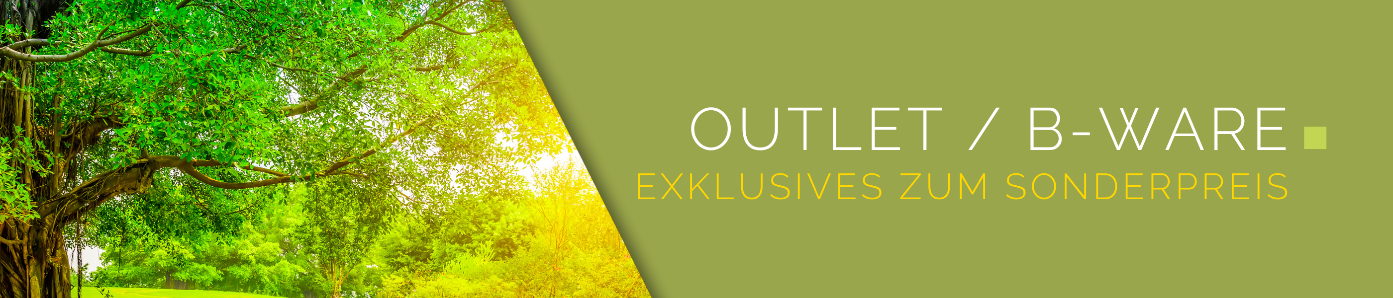 Outlet