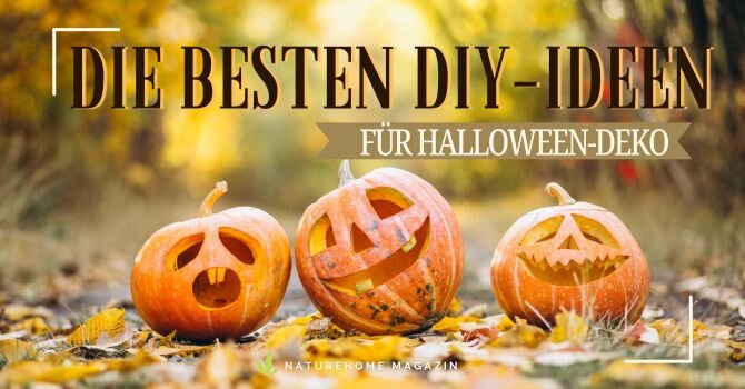 Die besten DIY-Ideen für Halloween-Deko