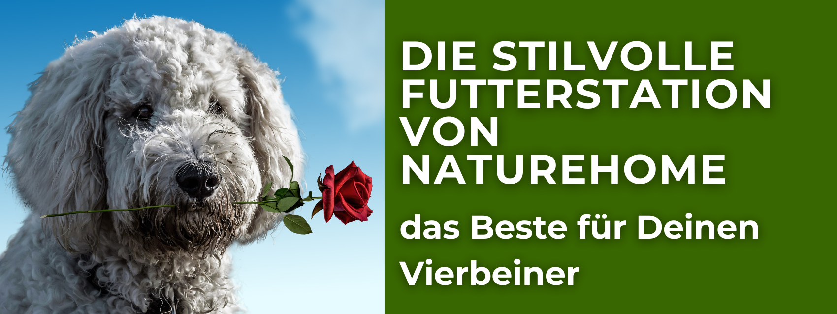 Die stilvolle Futterstation von NATUREHOME