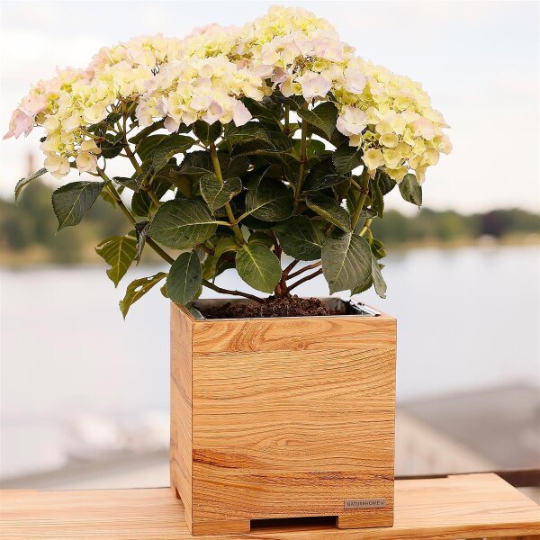 zink balkon blumenkasten Balkonkasten aus Zink – Pflanzgefäß mit Haken im Antik-Look